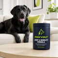 Black labrador with PawVolt Joint & Mobility formula supplement